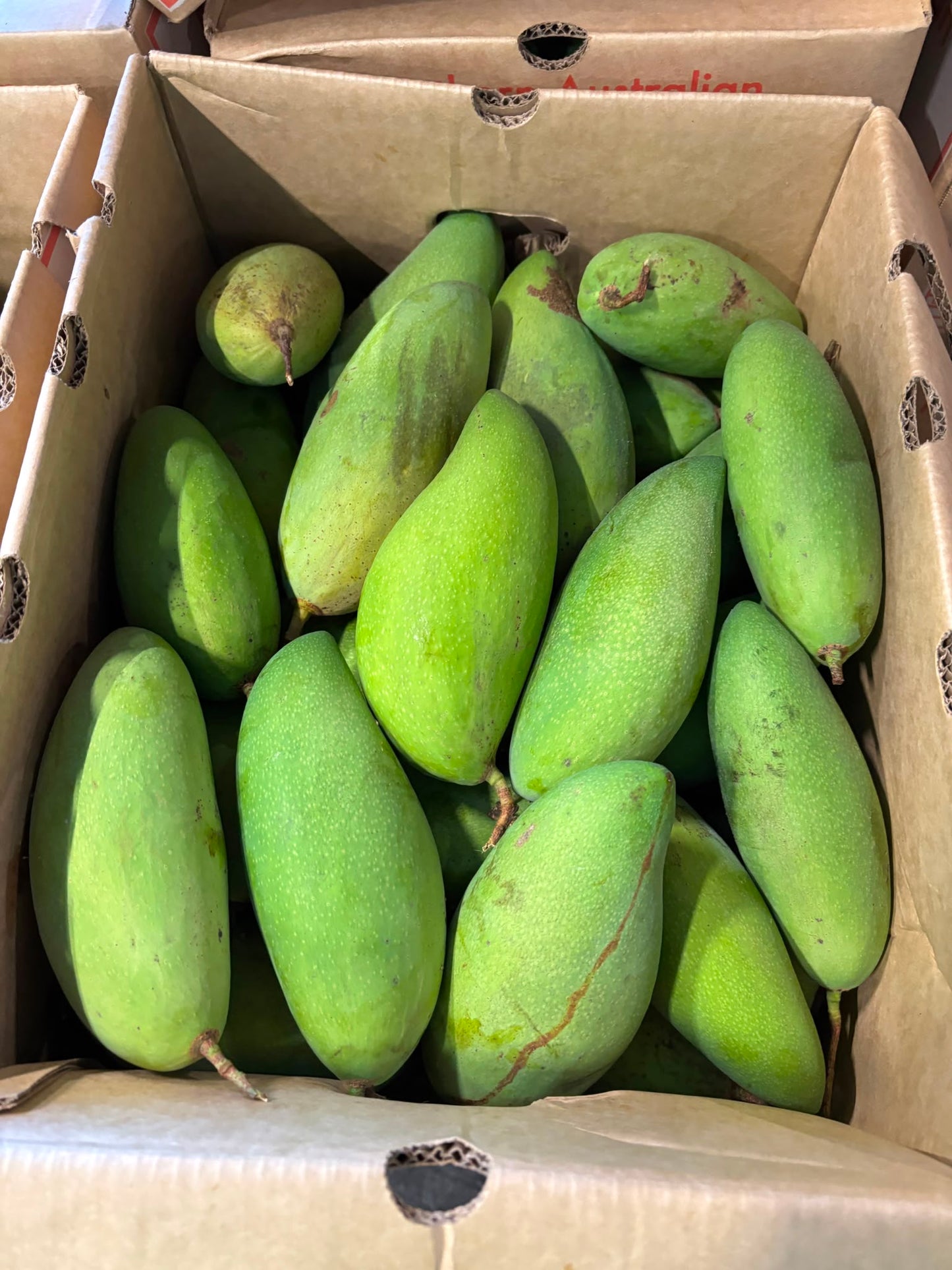 Mango - Falan