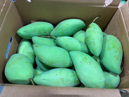 Mango -Nam Dok Mai