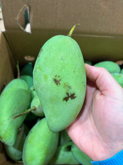 Mango -Nam Dok Mai