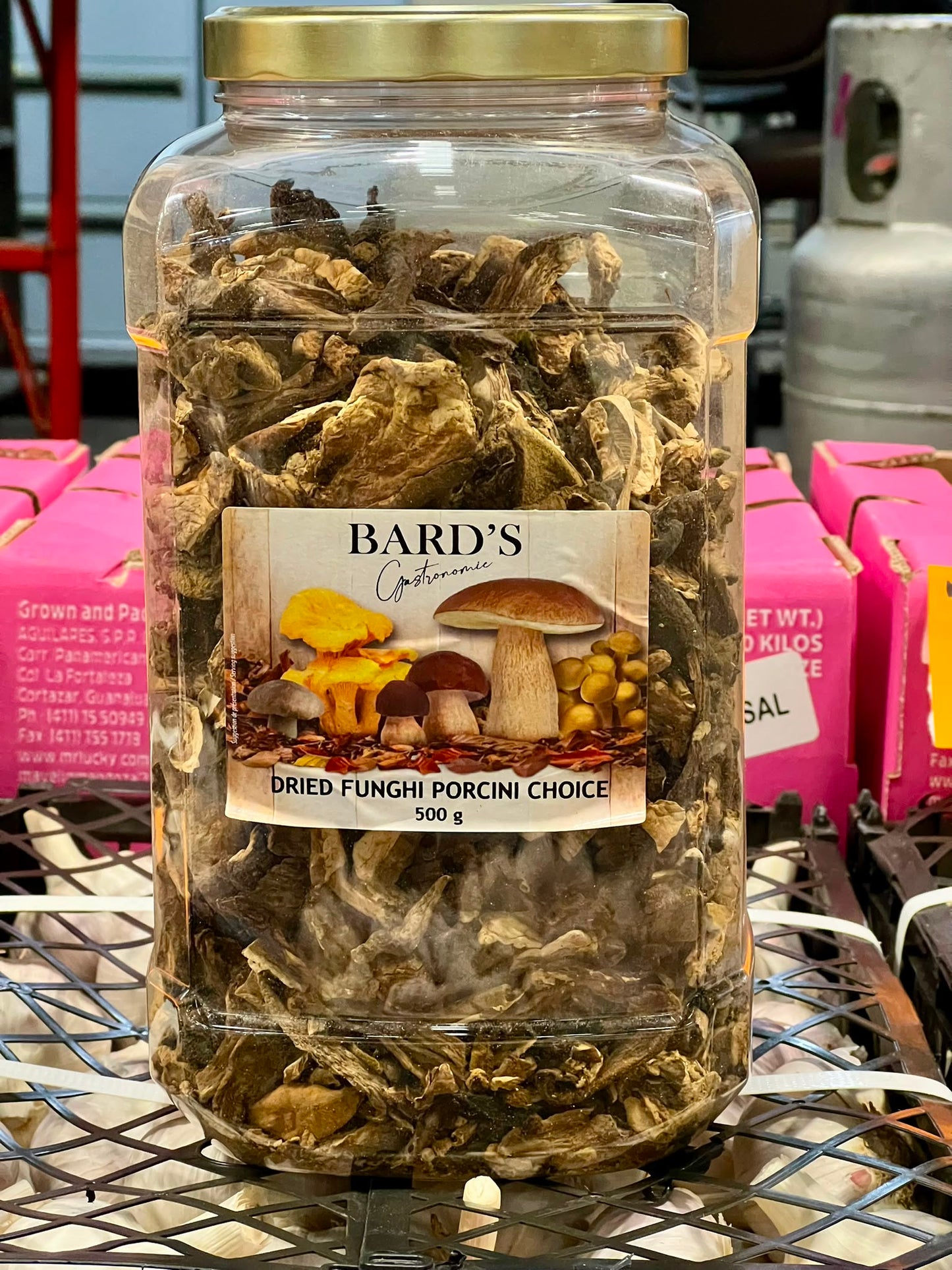 Dried Mushroom