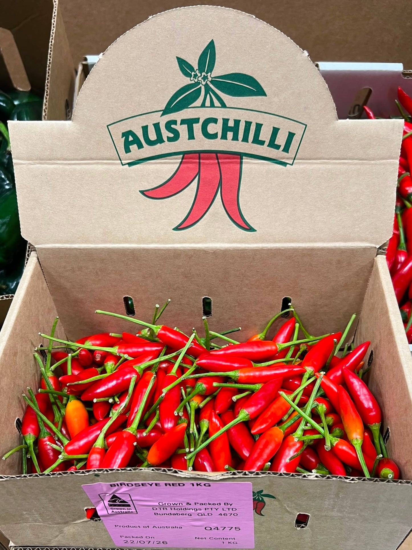 Chilli - Birdseye Red
