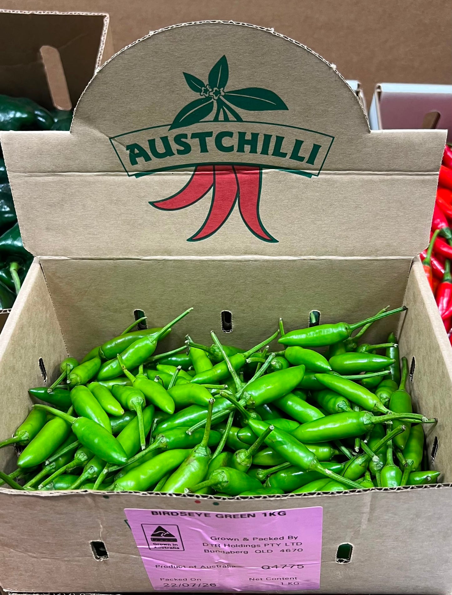 Chilli - Birdseye Green