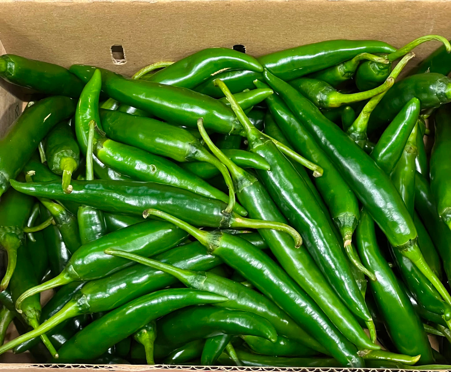 Chilli - Cayenne Green