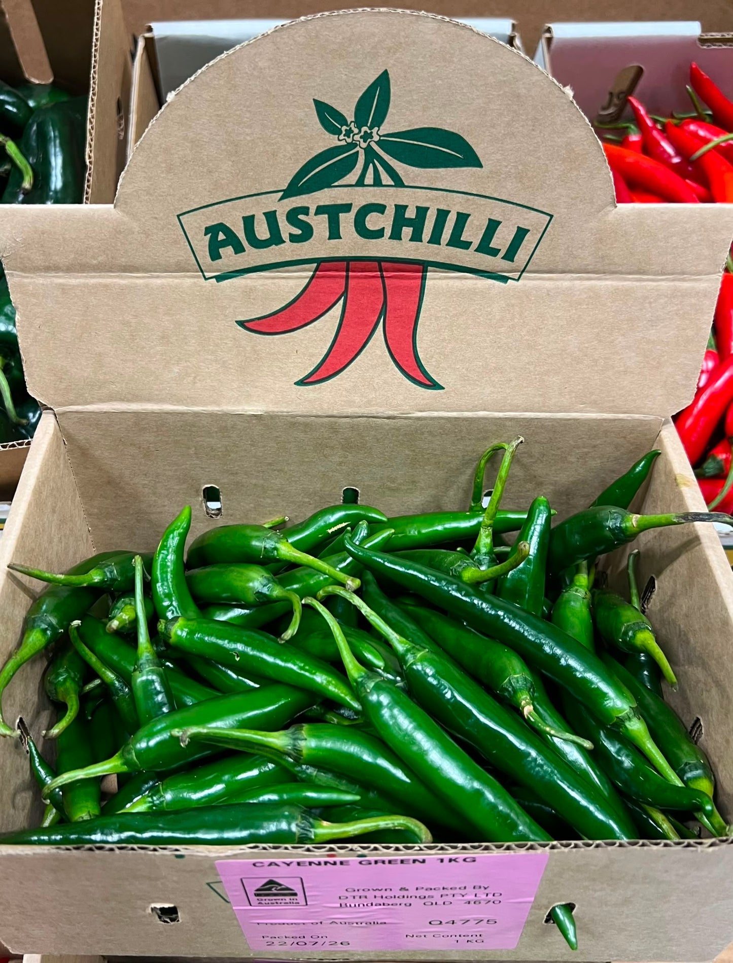 Chilli - Cayenne Green
