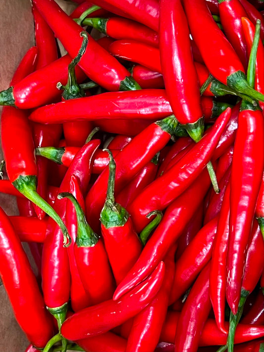 Chilli - Cayenne Red