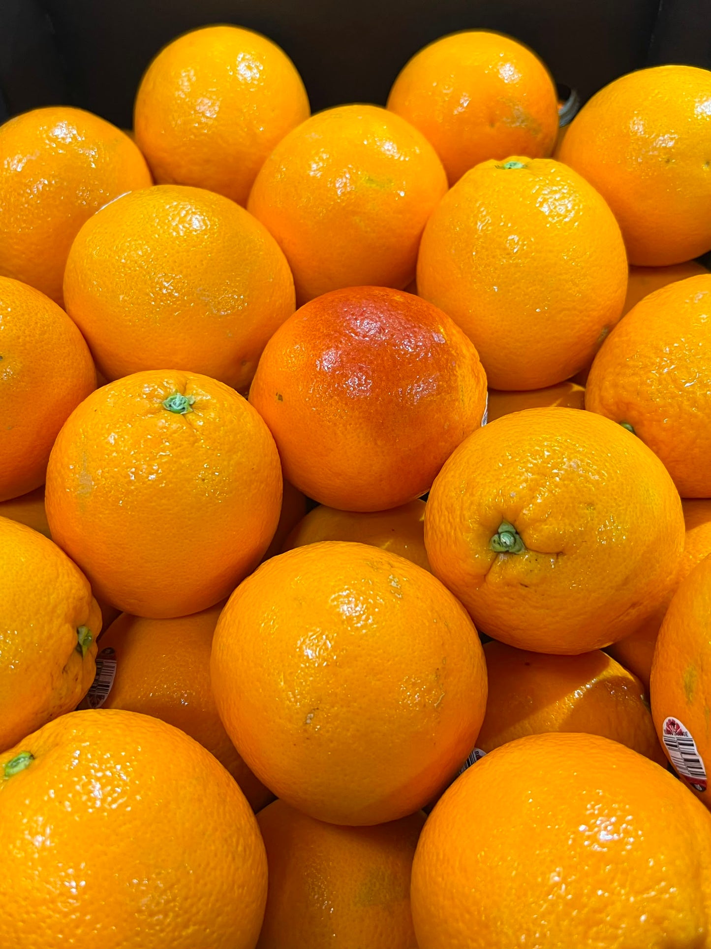 Orange - Tarocco Ippolito (Blood Orange)