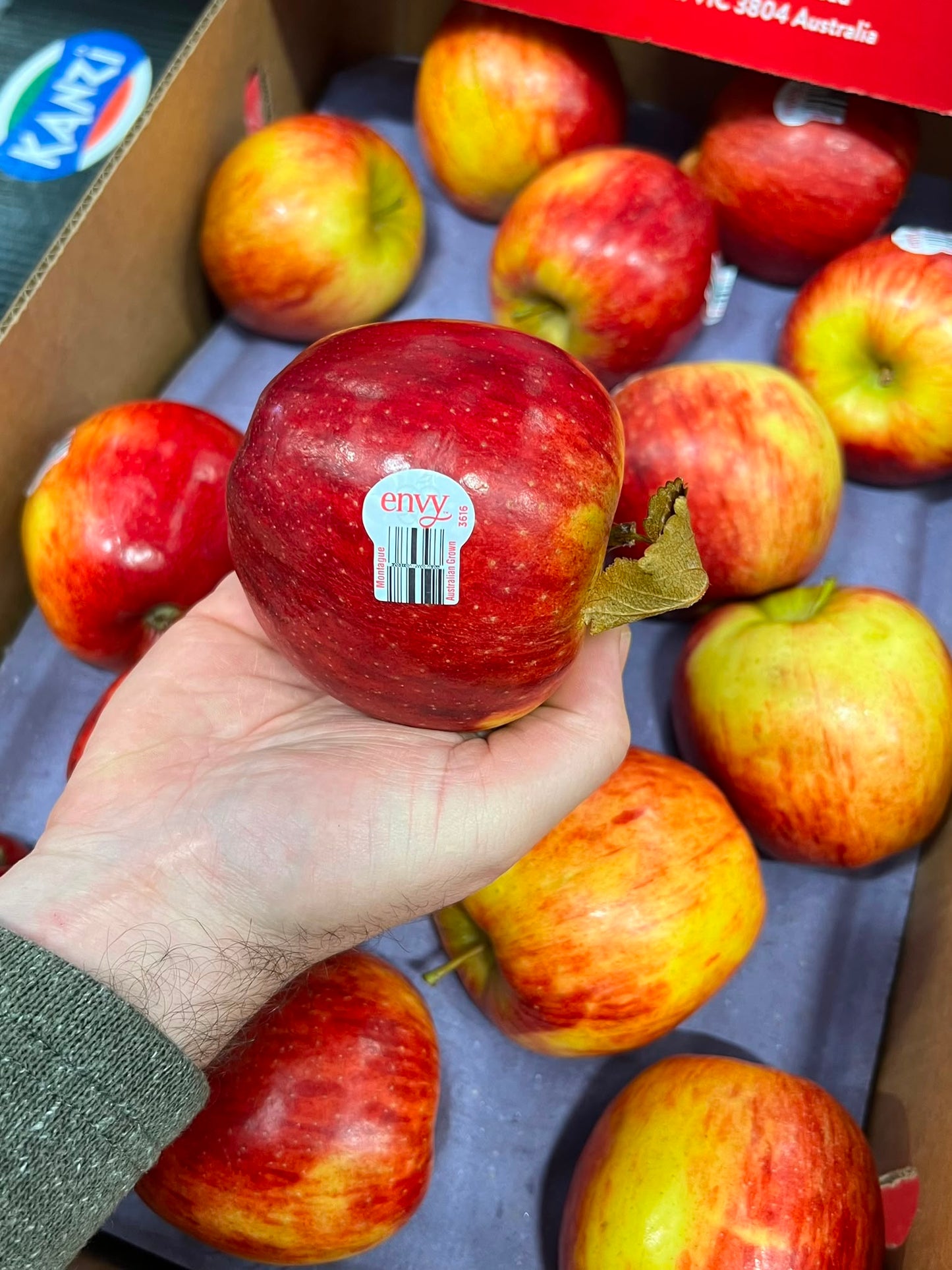 Apple - Envy