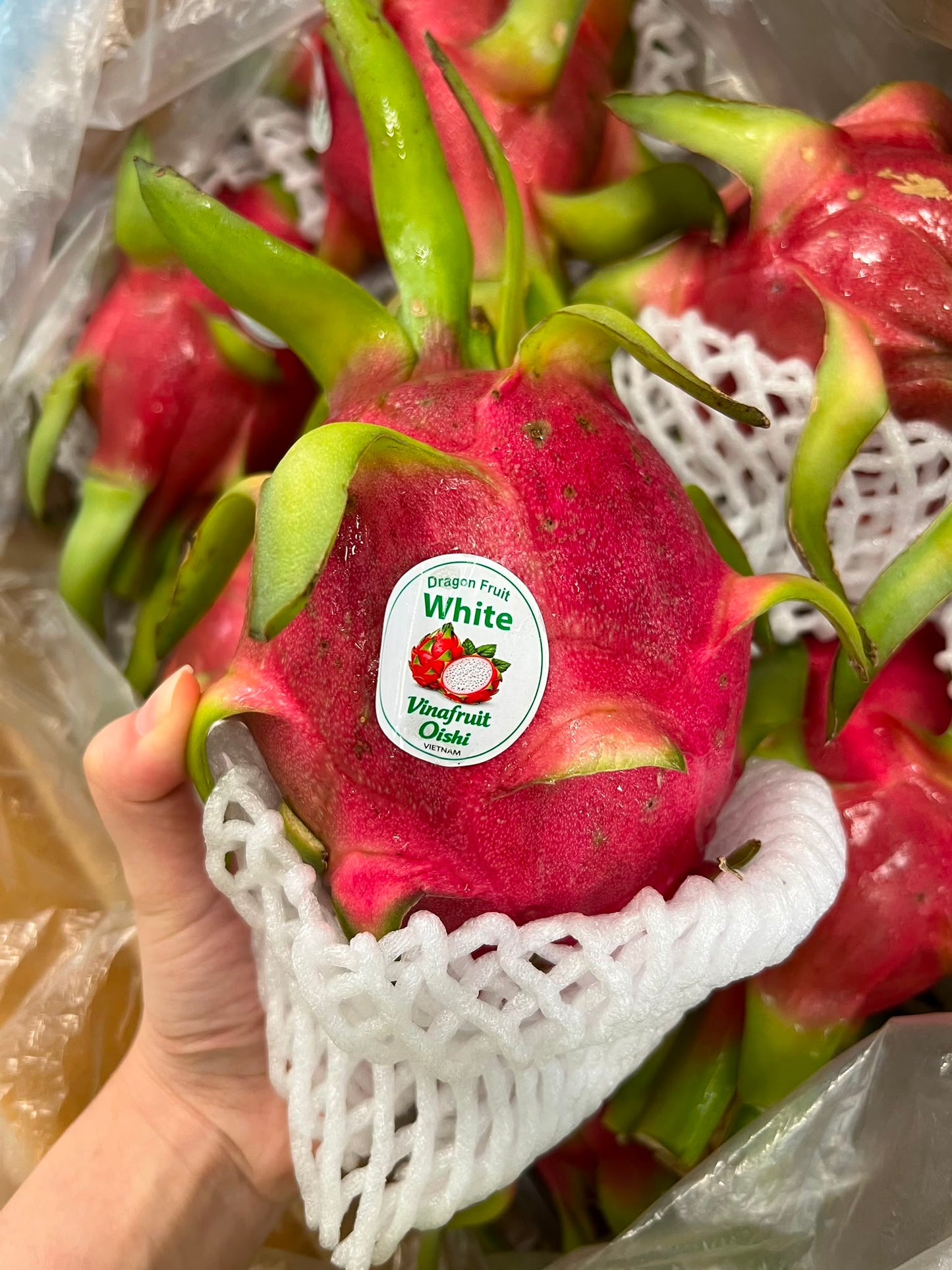 Dragon Fruit - White Flesh