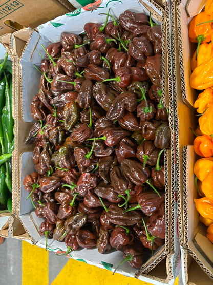 Chilli - Habanero Chocolate