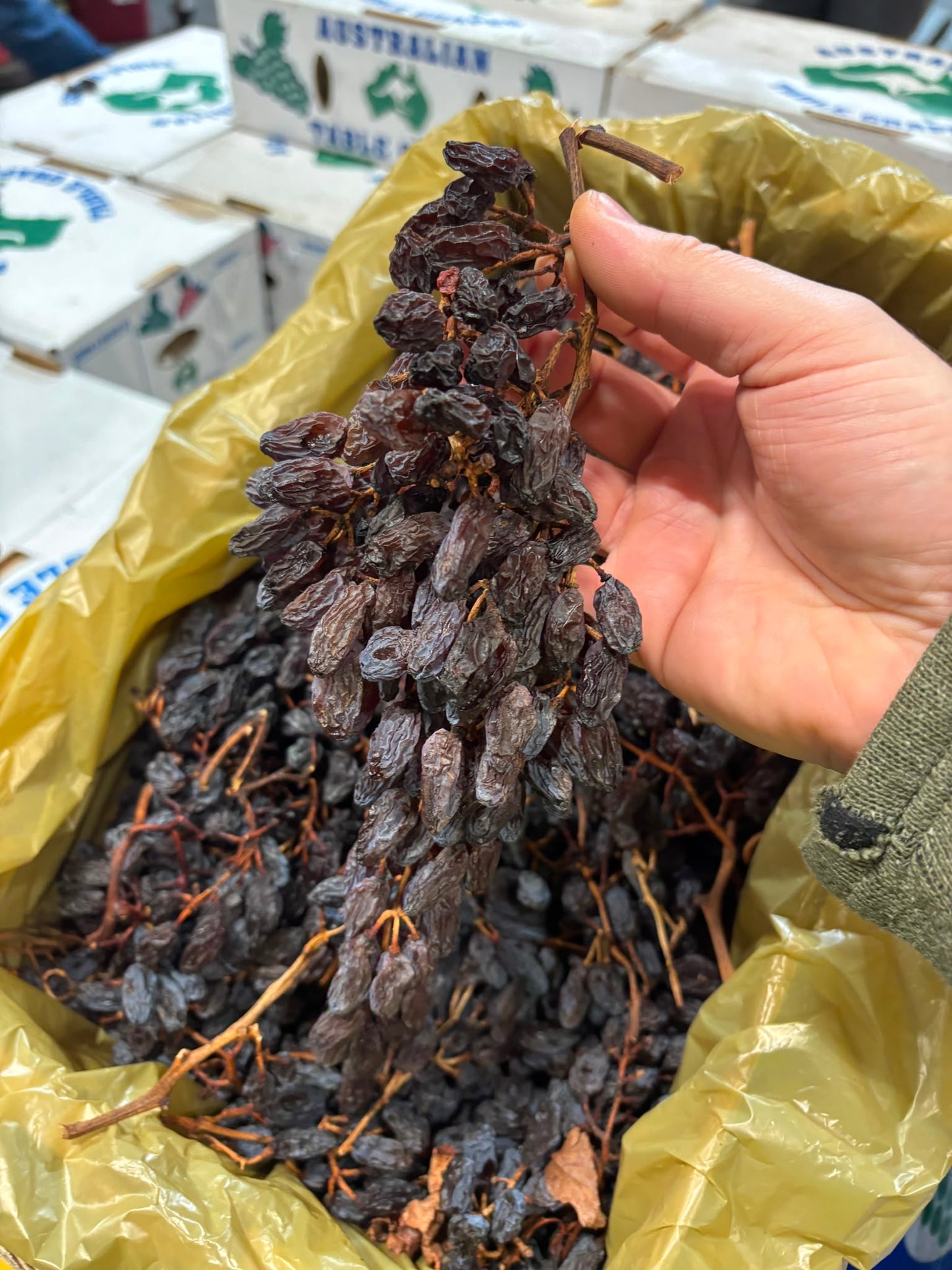 Dried Grapes