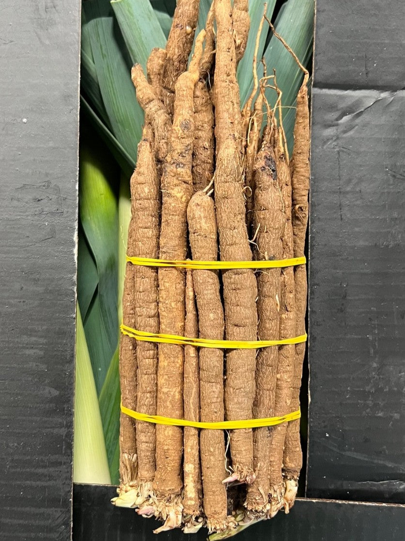 Salsify