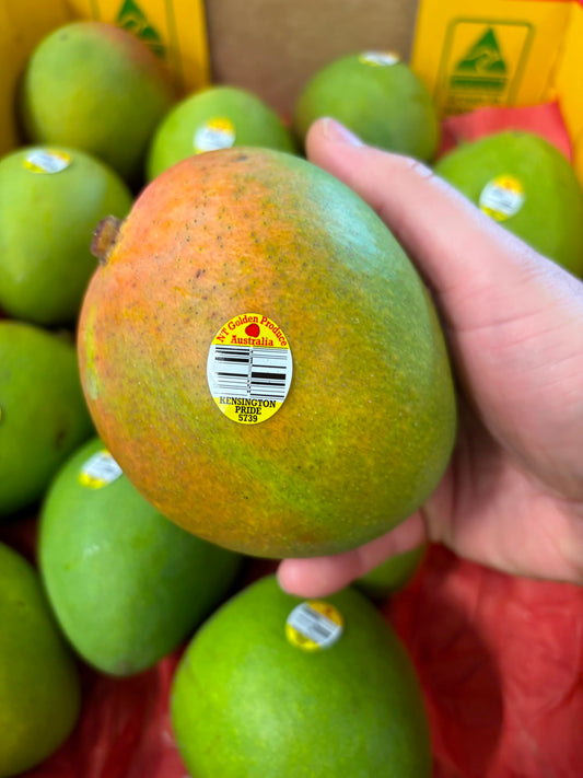 Mango Kensington Pride