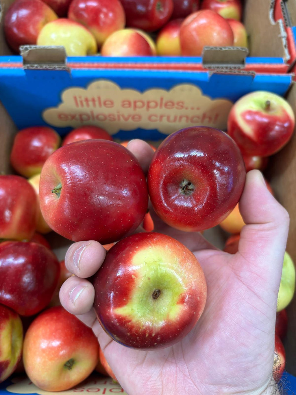 Apple - Missile 3kg