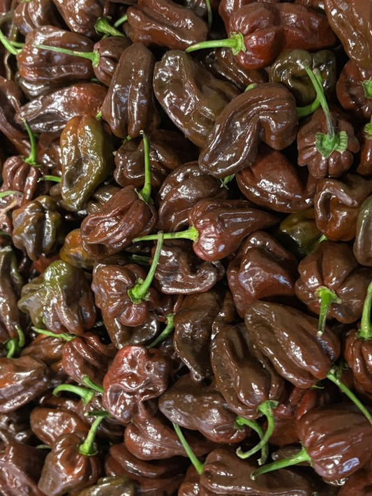 Chilli - Habanero Chocolate