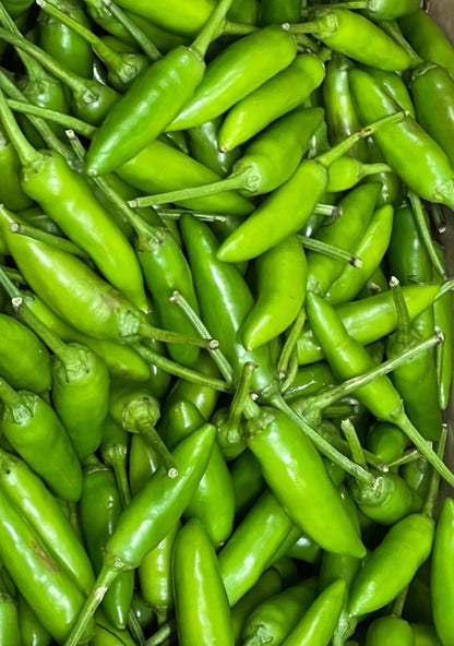 Chilli - Birdseye Green