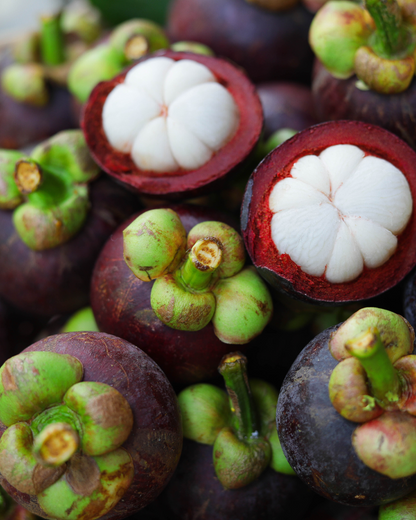 Mangosteen (Thailand)