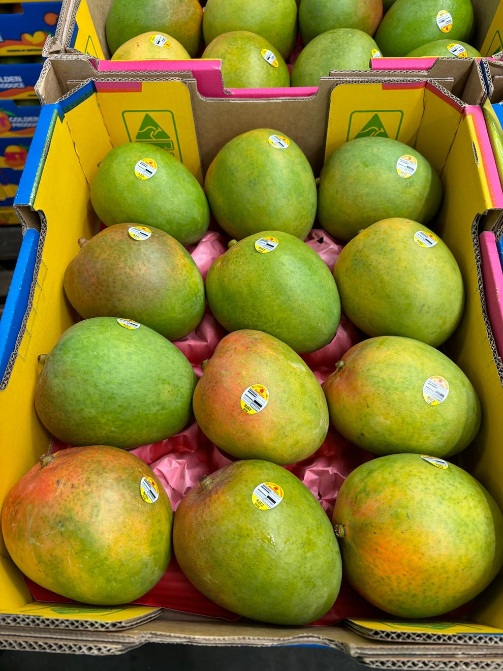 Fr Mango R2e2 Mango - R2E2 Tray (NT) – Produce Art